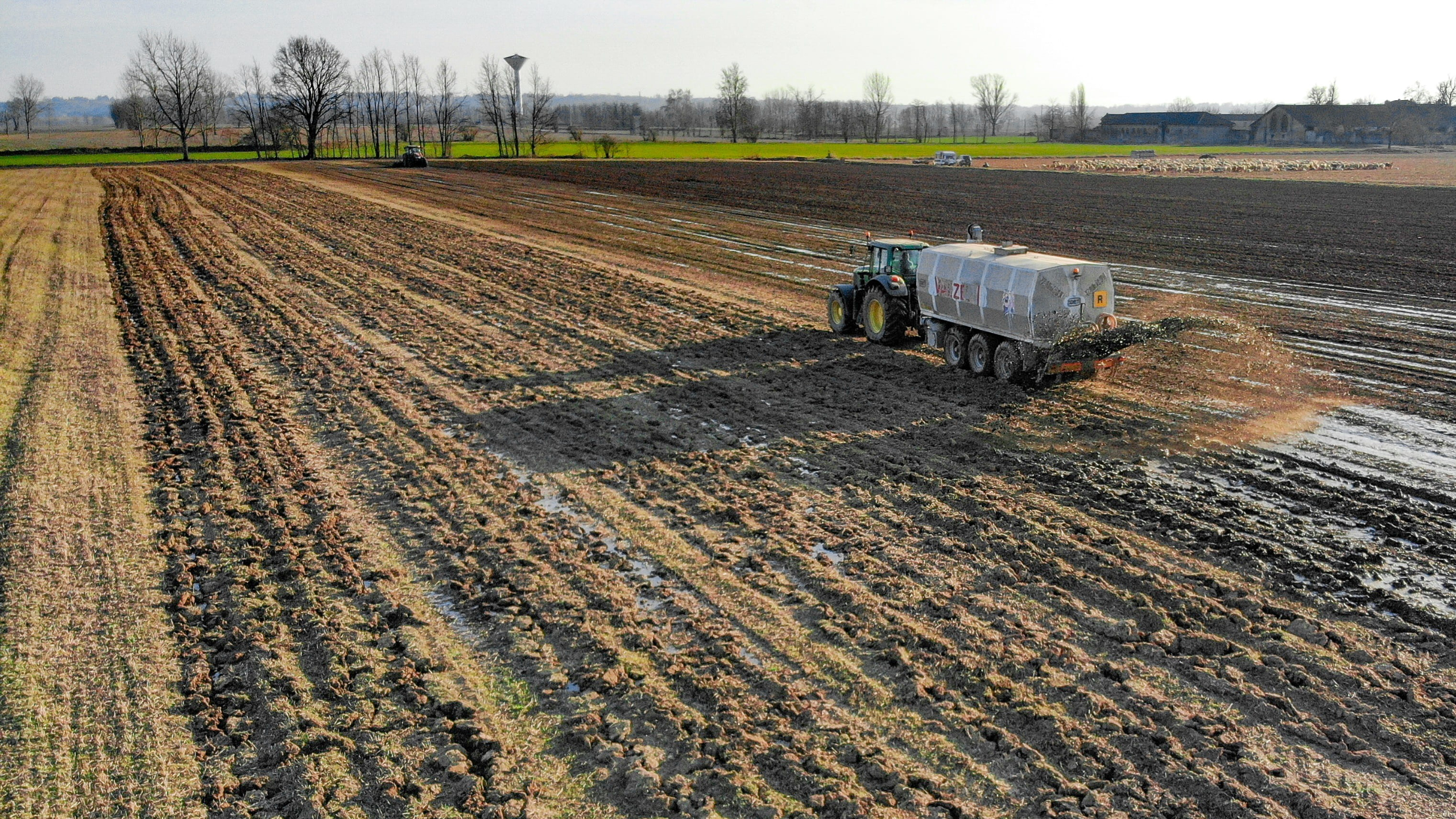 wallpaperflare.com wallpaper (4)